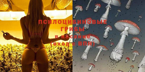 PSILOCYBIN Алексеевка