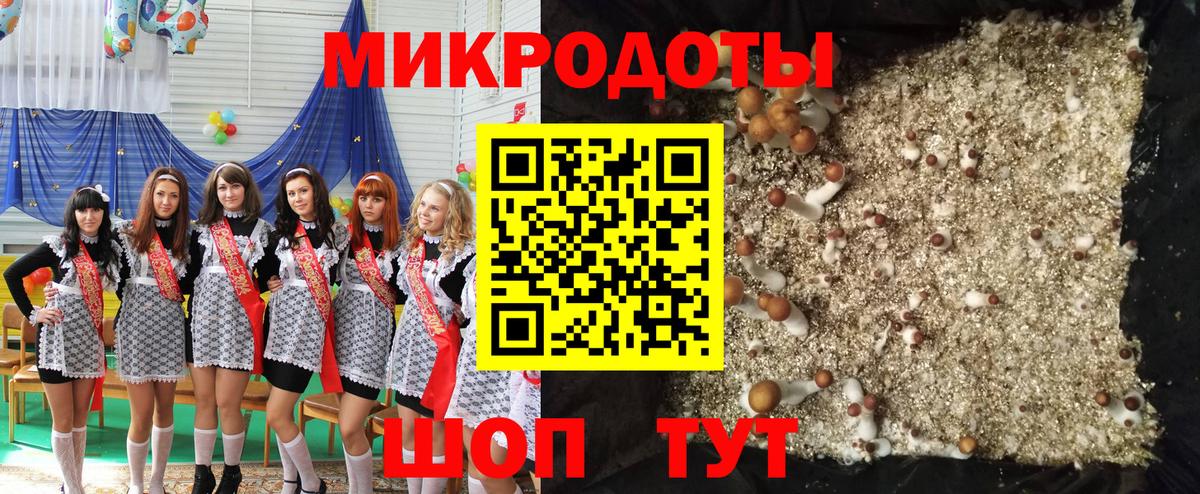 Галлюциногенные грибы Cubensis  Вход с VPN  Ейск 
